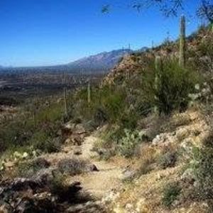 Meet your Posher, Janice